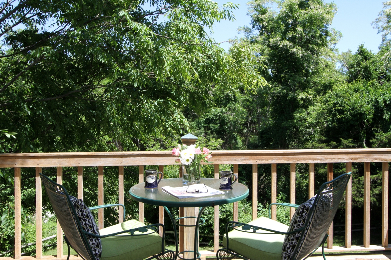 view from wood balcony, with glass top table for two and chairs, of the greenery in the conservation land at the back of the property
