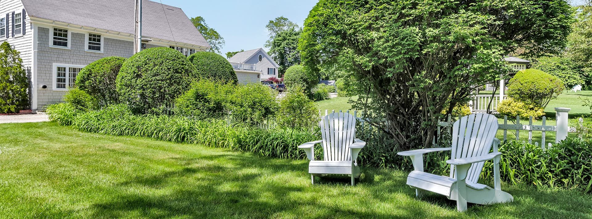 A serene backyard featuring two white Adirondack chairs surrounded by lush greenery and manicured bushes.