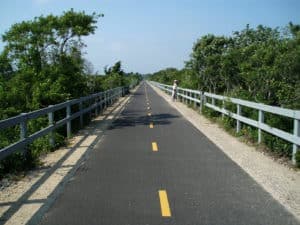 A smooth, empty bike path lined with greenery on either side.