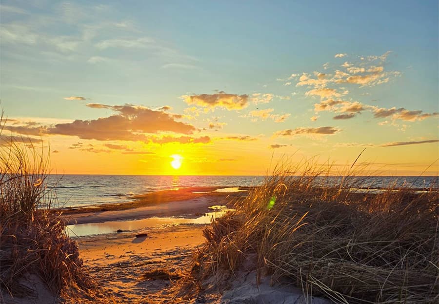A vibrant sunset over the ocean, framed by sand dunes and grasses.