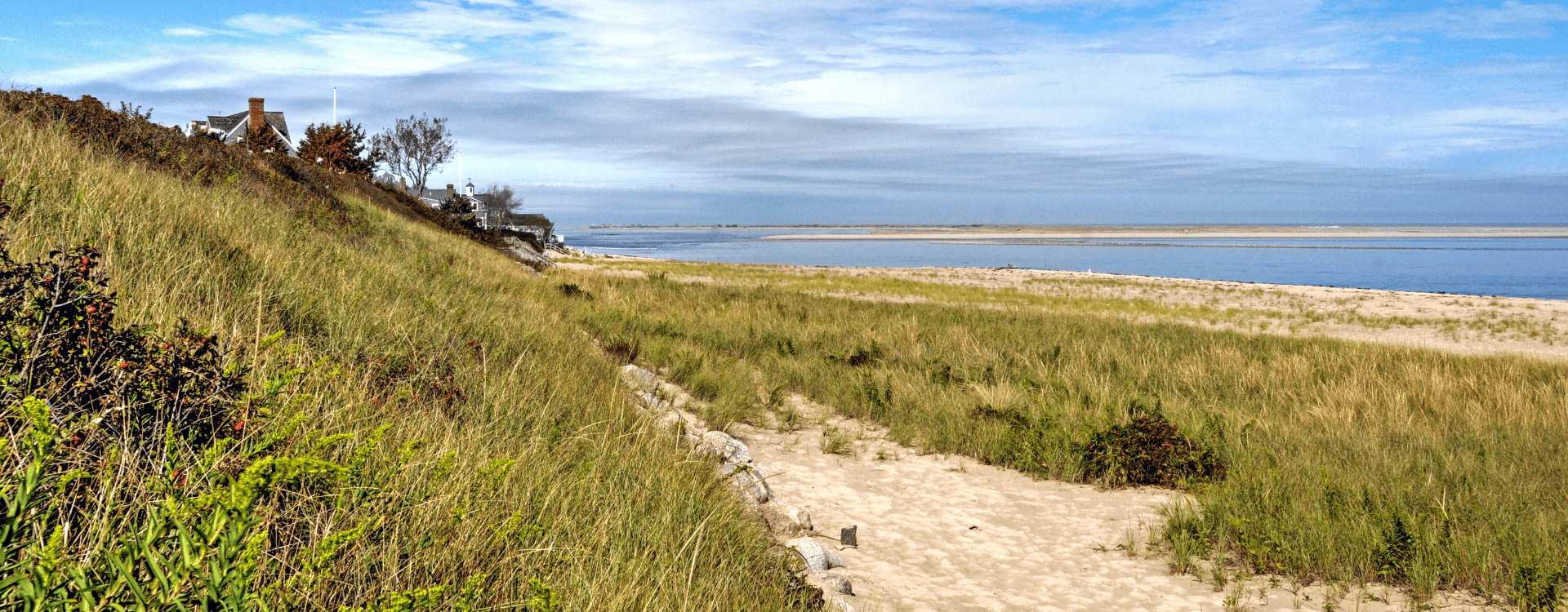 A grassy hillside leads down to a sandy beach and calm water under a clear sky.