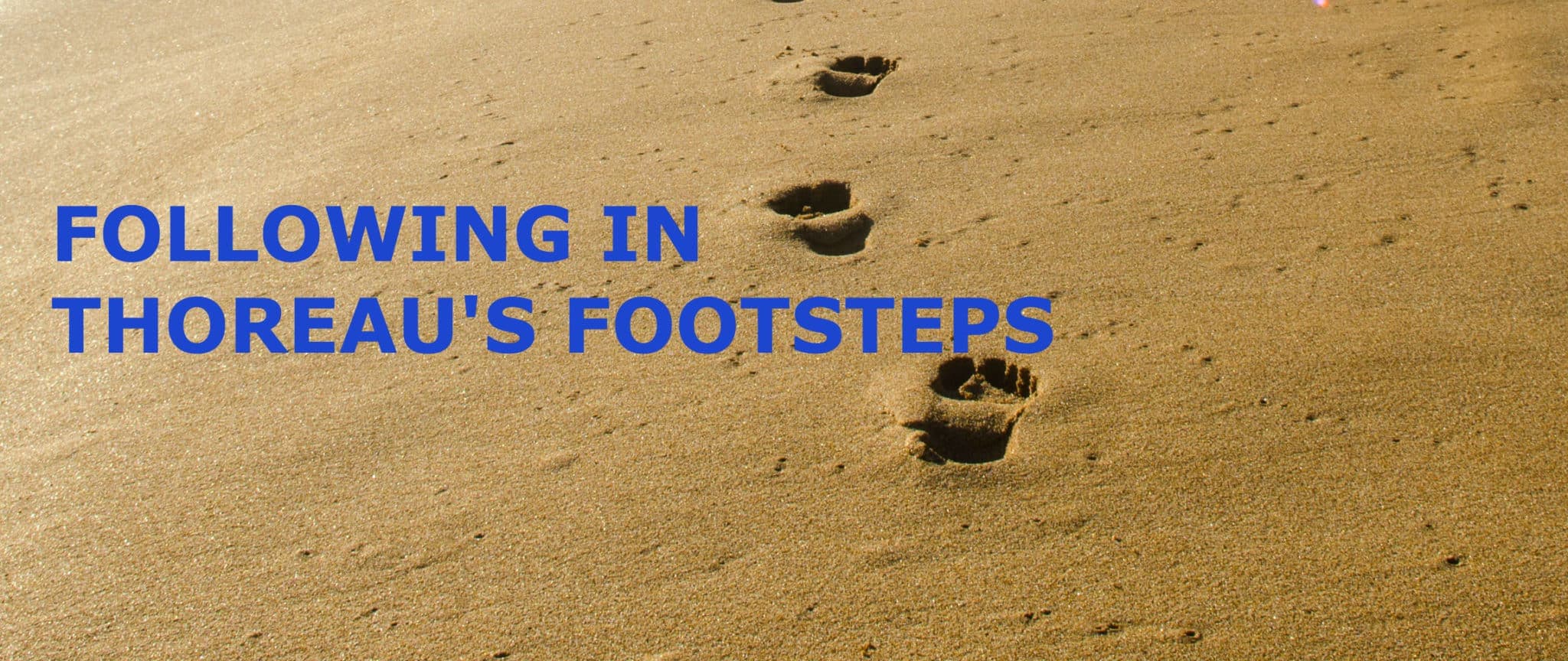 Footprints on sandy ground with bold text stating "FOLLOWING IN THOREAU'S FOOTSTEPS."
