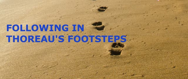 Footprints on sandy ground with bold text stating "FOLLOWING IN THOREAU'S FOOTSTEPS."