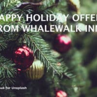 Close up on Christmas tree branches with title: Happy Holiday Offer from Whalewalk Inn.