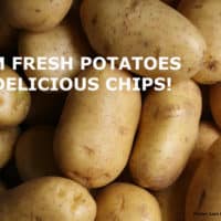 A pile of yellow potatoes with the title" From Fresh Potatoes to Delicious Chips