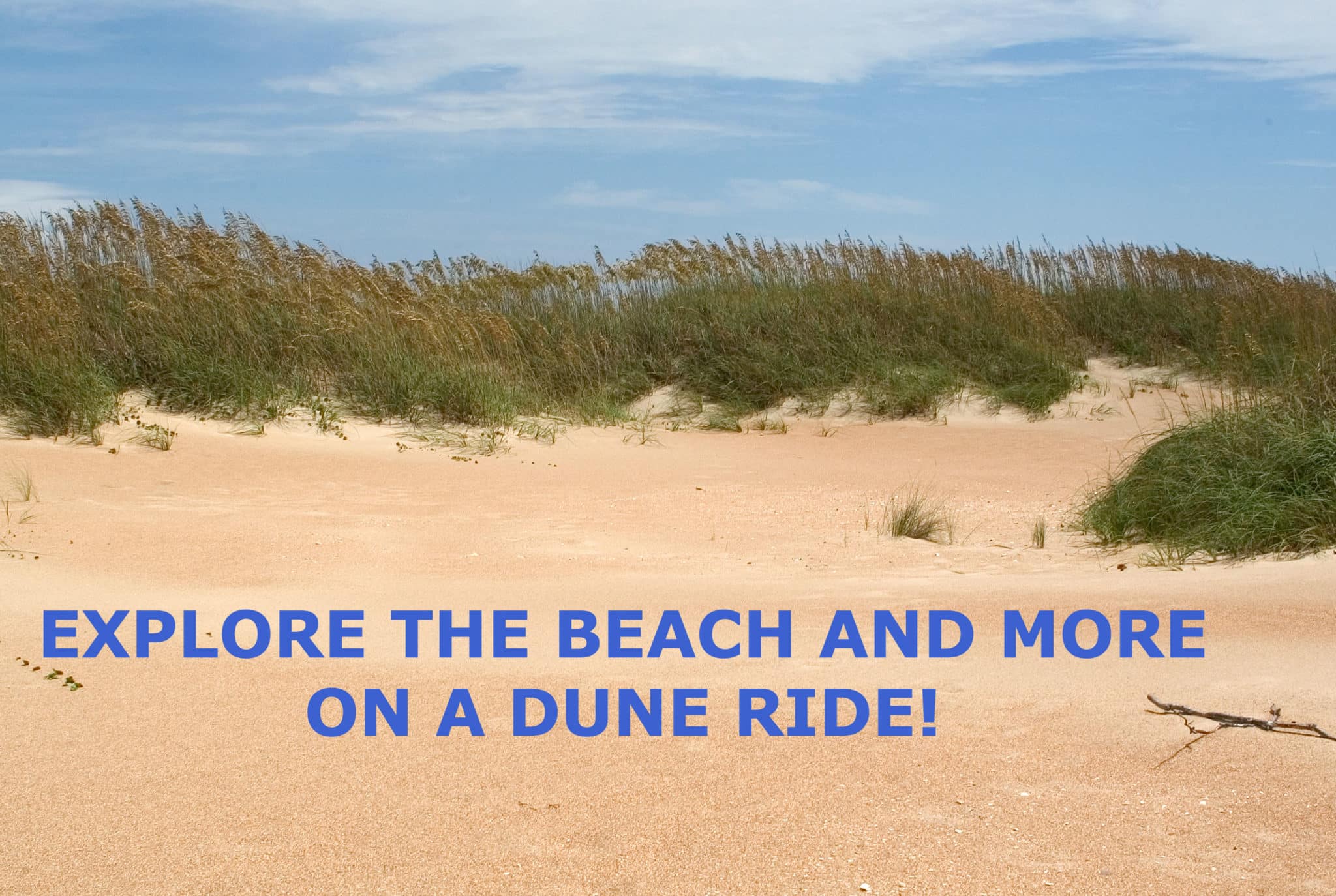 arts sand dune tours